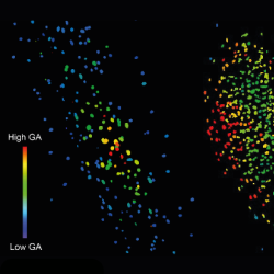 Next generation biosensor reveals gibberellin’s critical role in legume nitrogen-fixation 