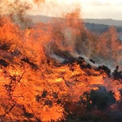 Fire on UK moorland
