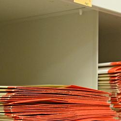 Type specimens in the University Herbarium