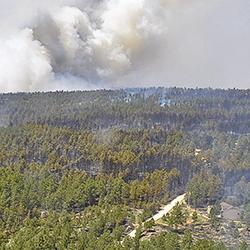 Aerial view of a forest fire in Colorado, USA