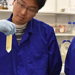 MPhil Crop Science students in the lab at NIAB
