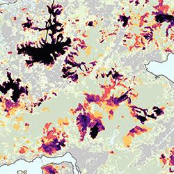 Burn sites in Hong Kong