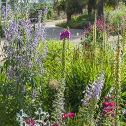 Cambridge University Botanic Garden  Credit: Howard Rice