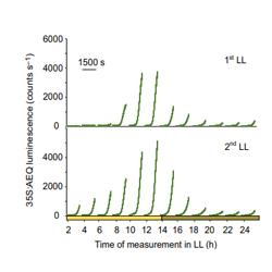 A graph. 