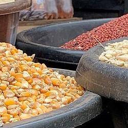 Maize in pans for sale at a market 