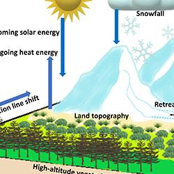 Vegetation vertical line shift in the Himalaya graphic