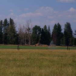 Timber/farming contrast in the USA