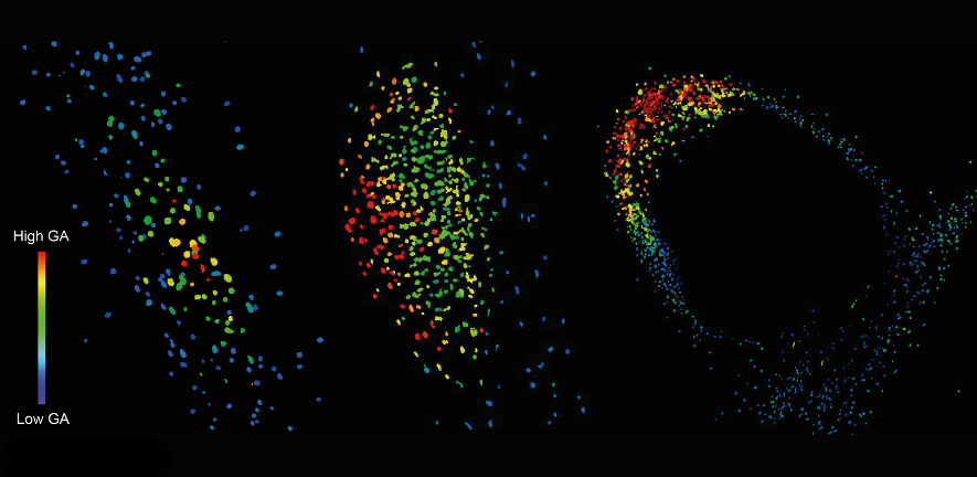 Next generation biosensor reveals gibberellin’s critical role in legume nitrogen-fixation