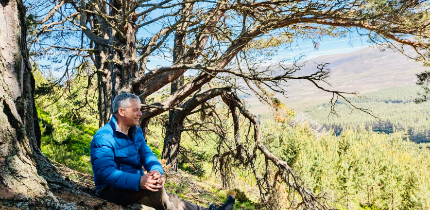 David Coomes on a research trip in the Cairngorms in the Scotland Highlands