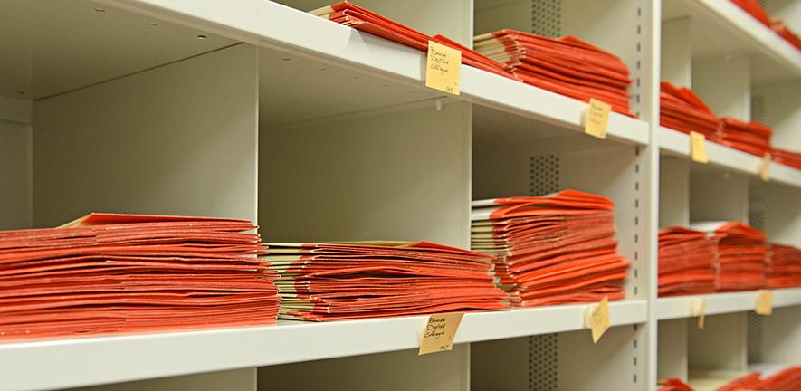 Type specimens in the University Herbarium