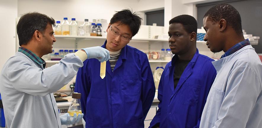 MPhil Crop Science students in the lab at NIAB