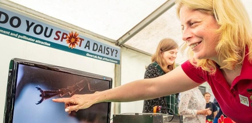 Beverley Glover at Festival of Plants 2019