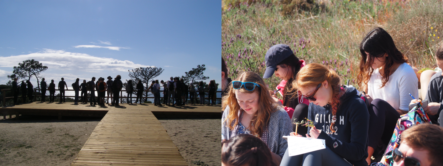 Students observing plants in the field on the Portugal Field Course.