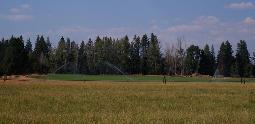 Timber/farming contrast in the USA