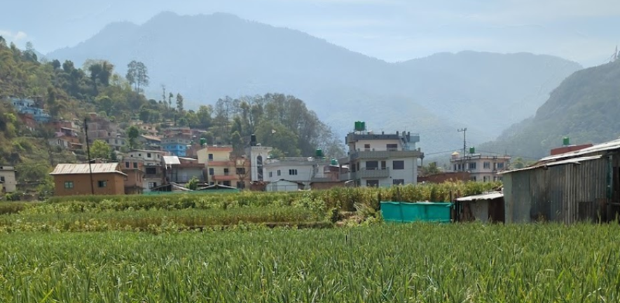 Nepal, wheat growing district. Image credit: J. Smith, University of Cambridge