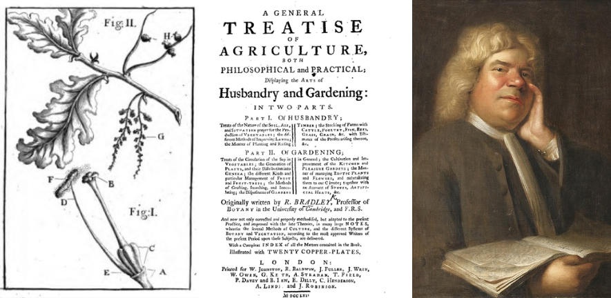 Three images: diagram of the sexual structure of plants from Richard Bradley’s New Improvements of Planting and Gardening; a page from Richard Bradley's 'General Treatise of Agriculture; portrait of Thomas Fairchild