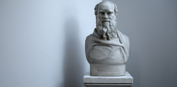 Darwin bust 590