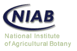 logo niab