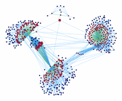 A representation of networks in which siRNAs and miRNAs are represented as red symbols and their precursors and targets as blue or yellow symbols. Such networks could be used by the cell to integrate the expression of many genes. 