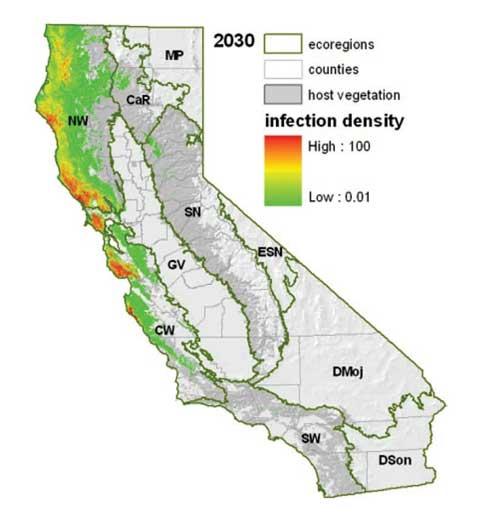 Predicted risk of Sudden Oak Death in California by 2030