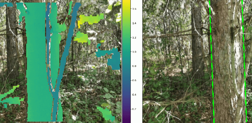 tree trunk diameter measurements by mobile phone images