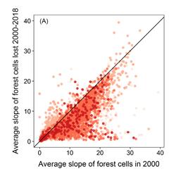Graph showing the loss of forest cells between 2000 - 2018