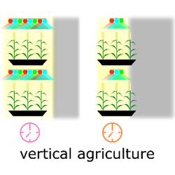 A diagram of vertical farming. cartoon plants are sit on shelves on top of each other with lights over the top