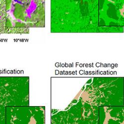 CLASlite, Global Forest Watch pave way for contemporary forest monitoring efforts