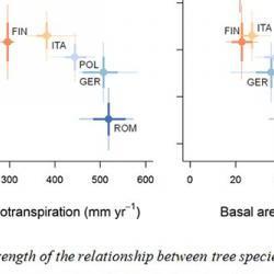 Climate modulates diversity-productivity relationships in forests