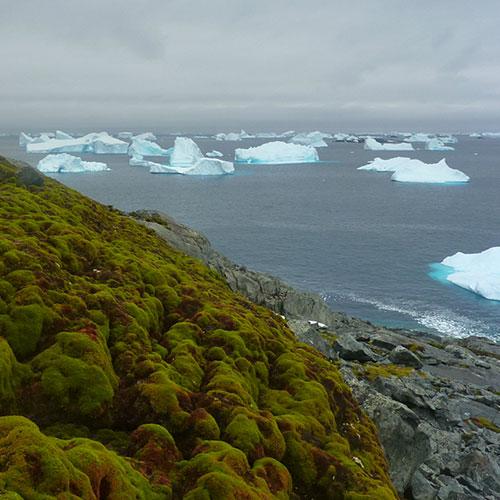 Widespread ecological changes in Antarctica