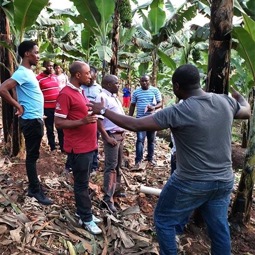 Farmer training outreach in Uganda